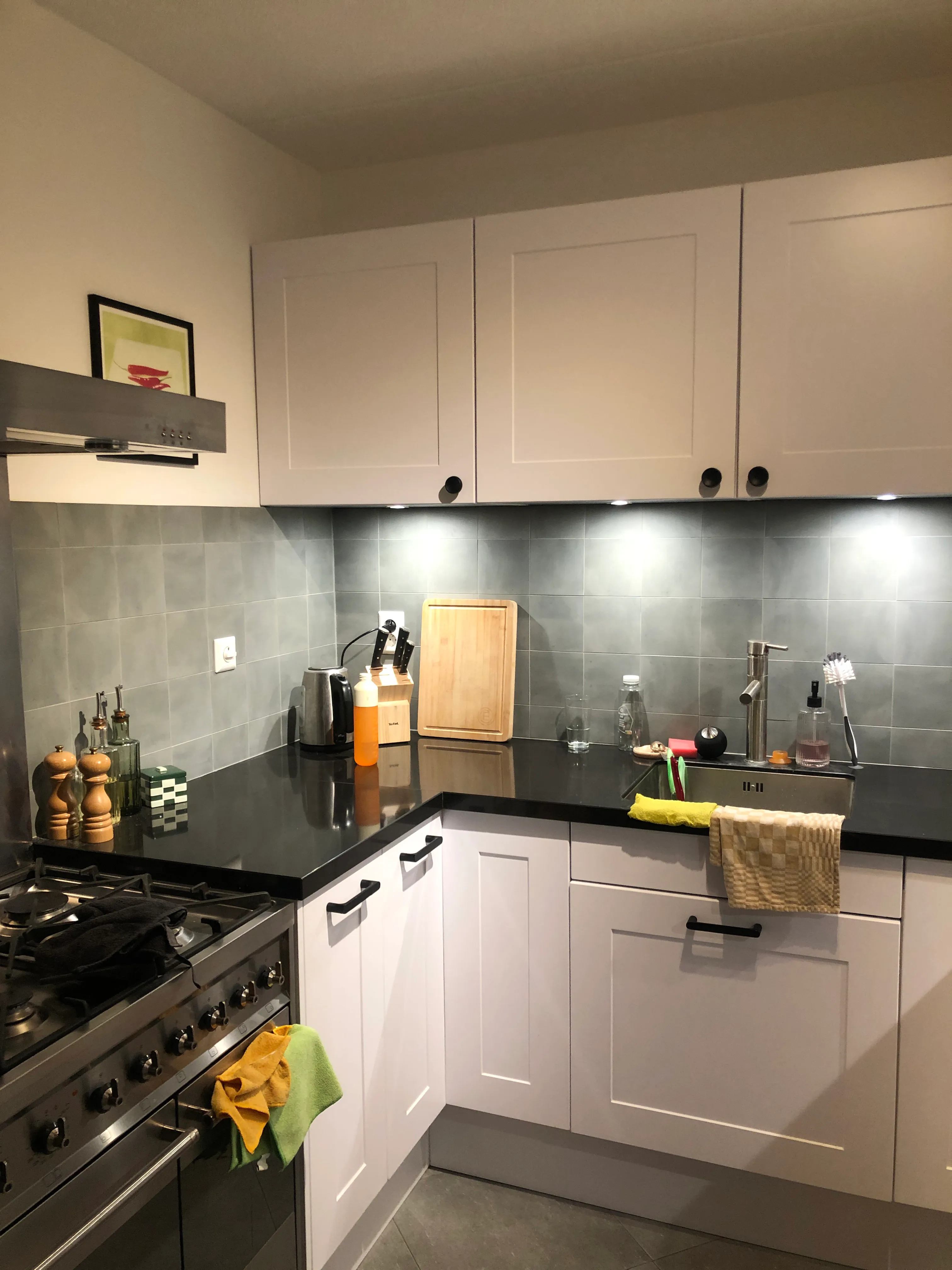 The left side of the kitchen.